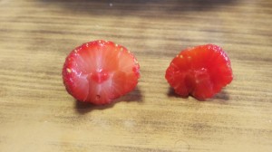 うちの苺は真っ赤っか