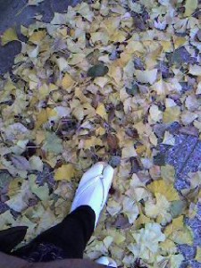 光の絨毯　踏みしめて