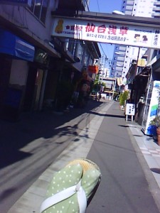 夜のほうが にぎわうのかな? 夜のほうが にぎわうのかな?